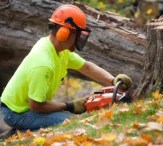 tree services Fairland